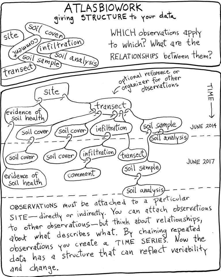 data model for atlasbiowork