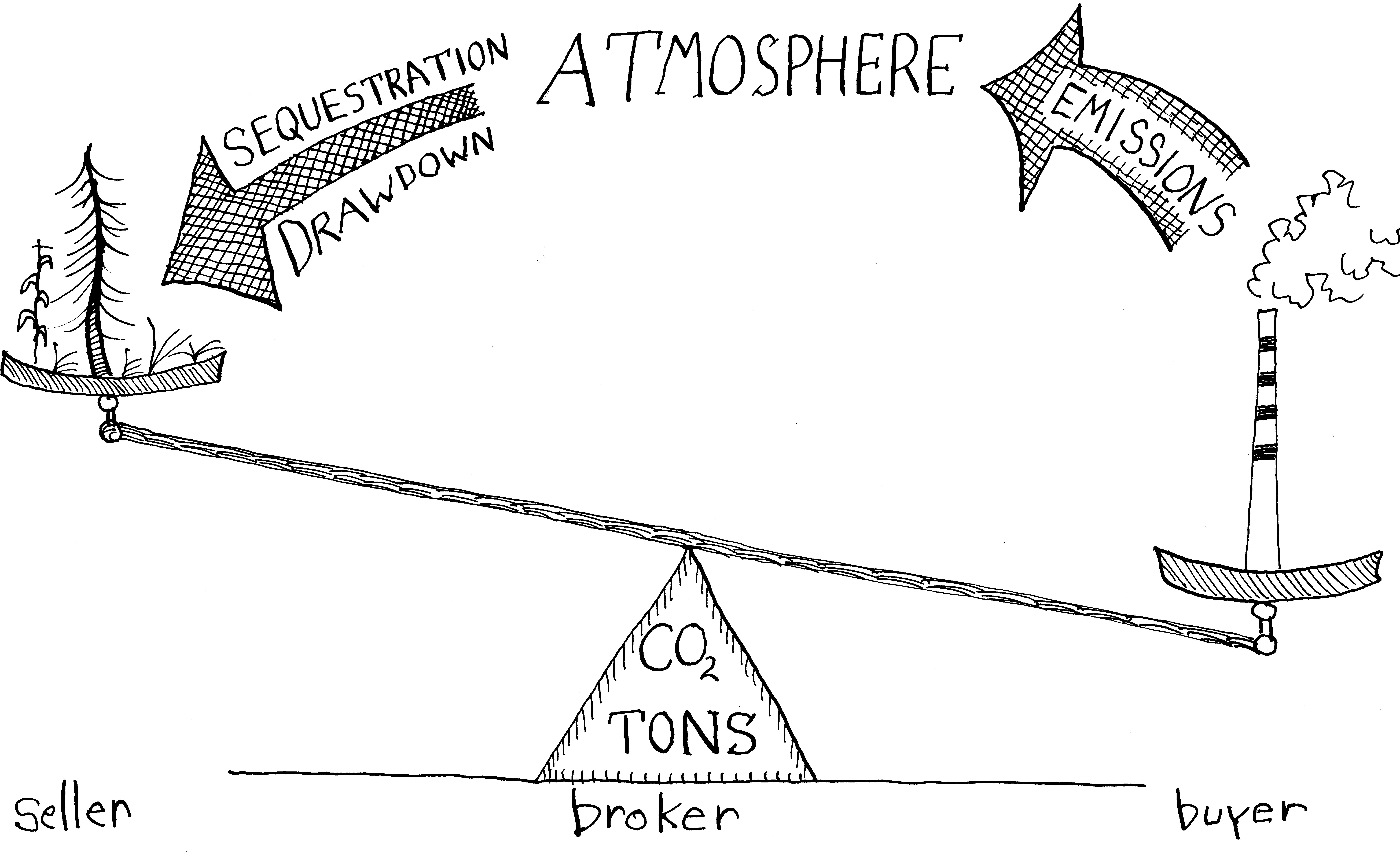 11. The diagram below shows part of the carbon cycle. Atmospheric Organic  Carbon compounds [algebra]